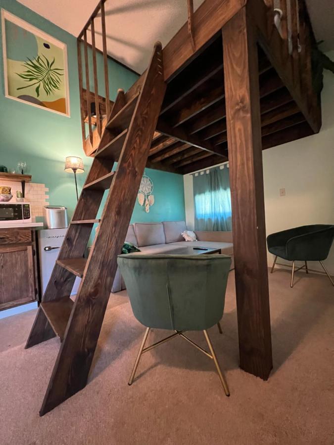 דירות ווילמינגטון Cozy Loft With Parking And Private Patio W/ Grill מראה חיצוני תמונה